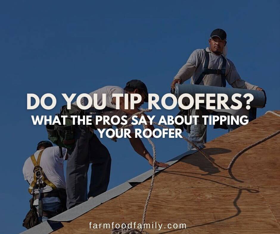 Should You Tip Roofers? What the Pros Say About Tipping Your Roofer