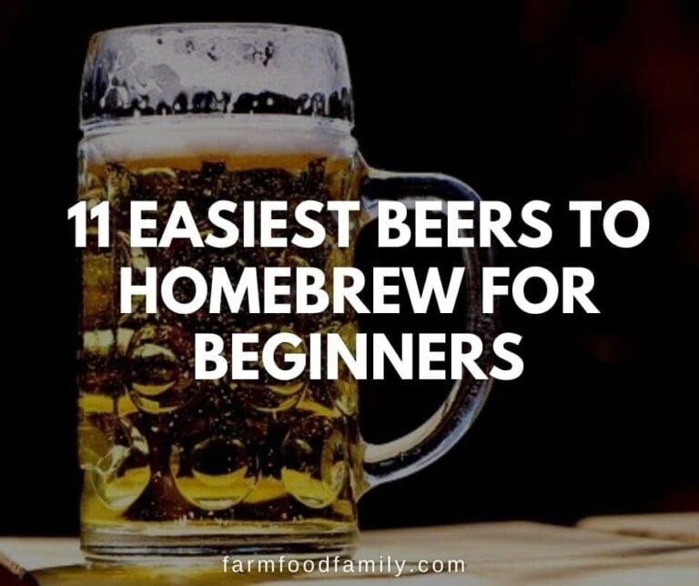 11 Easiest Beers to Homebrew for Beginners
