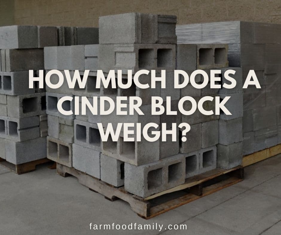 How Much Does A Cinder Block Weigh The Answer Might Surprise You - How Much Weight Can A Cinder Block Wall Hold