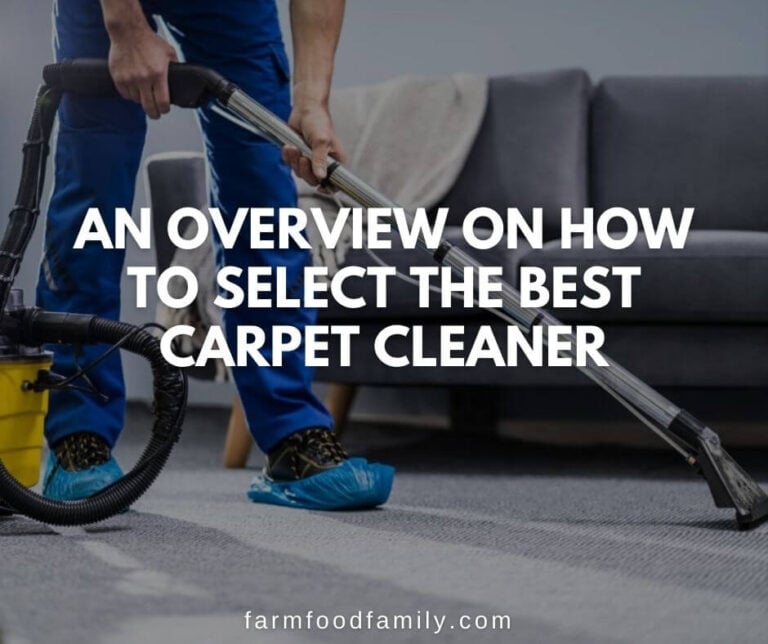 An Overview On How To Select The Best Carpet Cleaner