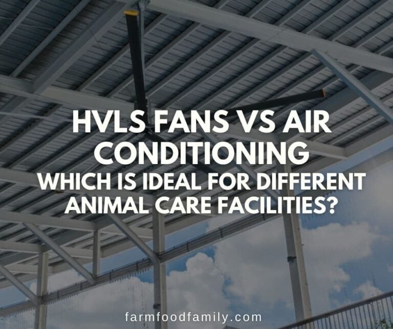 HVLS Fans vs Air Conditioning: Which is Ideal for Different Animal Care Facilities?