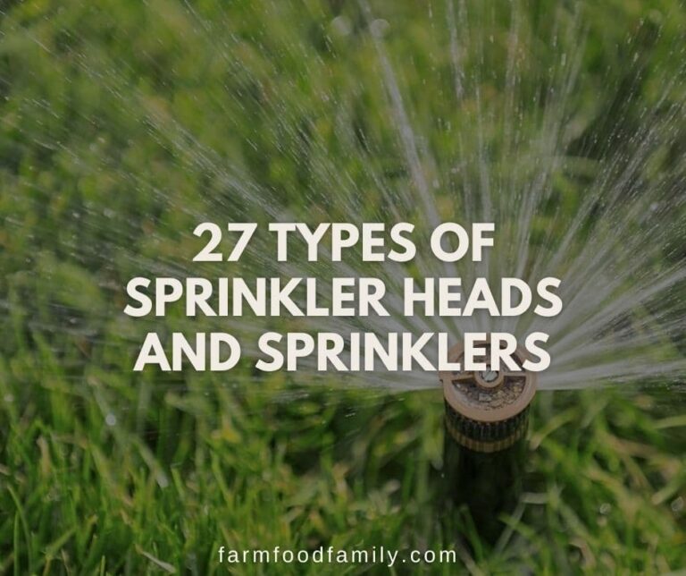 27 Types of Sprinkler Heads and Sprinklers: Which One Is Right for You?