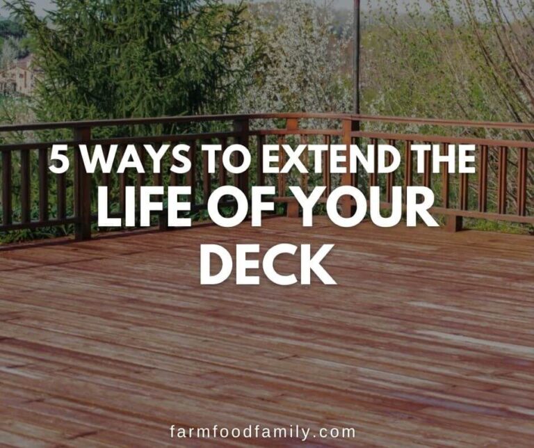 Deck Care: 5 Ways to Extend the Life of Your Deck (Tips and Tricks)