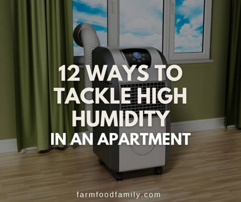 12 Ways to Tackle High Humidity in An Apartment
