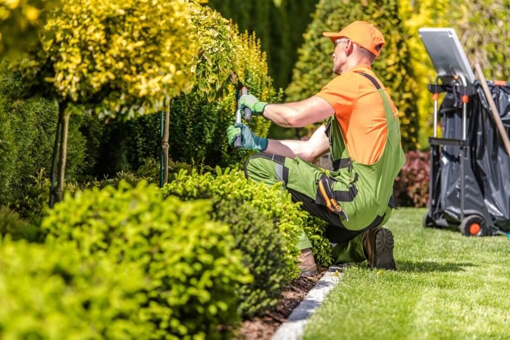 what consider when tipping landscapers