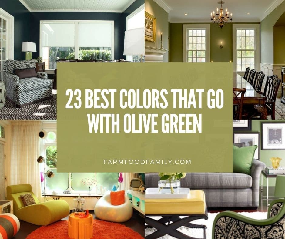 23 Best Colors That Go Well With Olive Green The Perfect Fall Palette - Paint Colours To Match Olive Green
