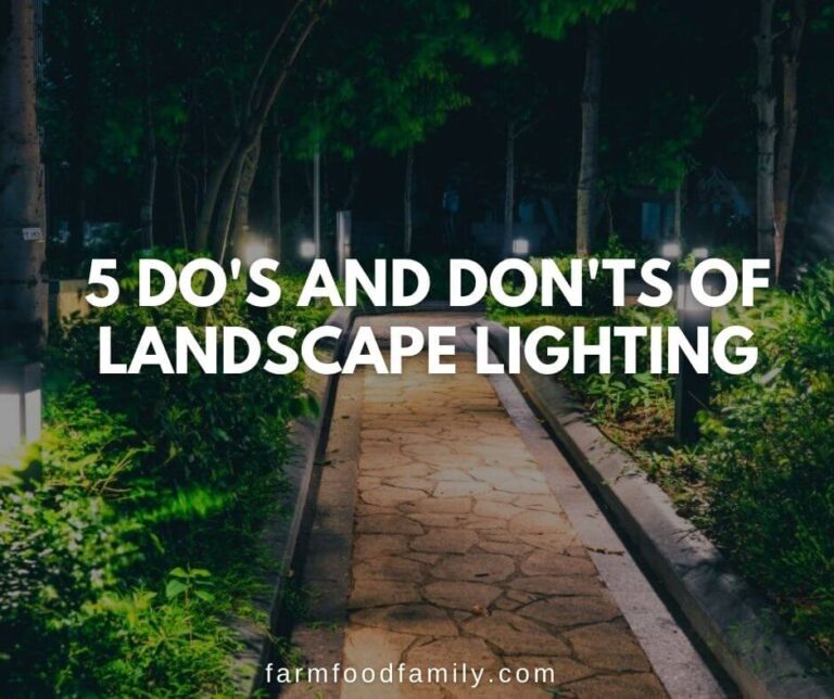 5 Do’s And Don’ts Of Landscape Lighting