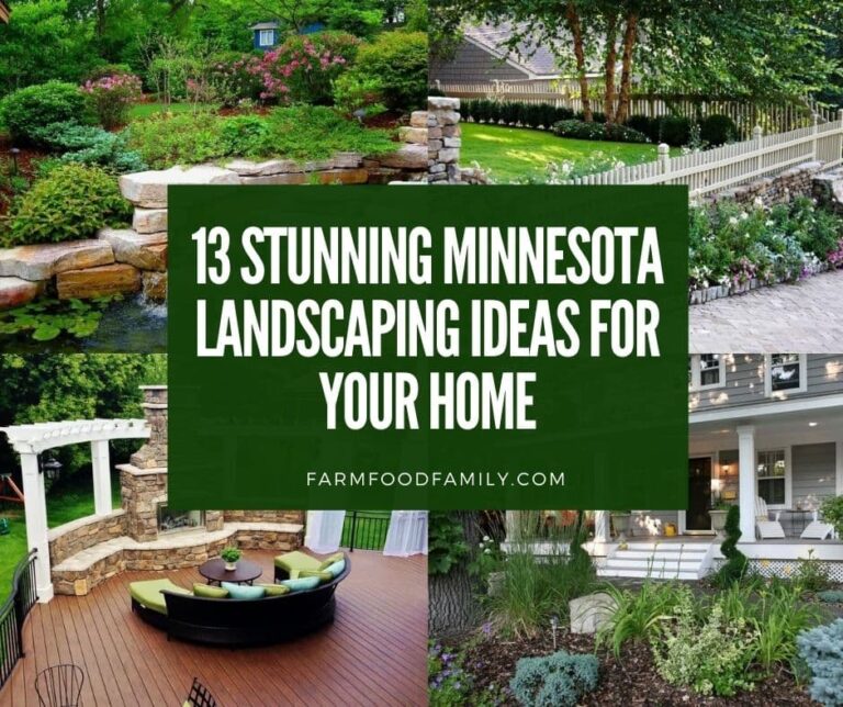 13 Stunning Minnesota Landscaping Ideas for Your Home (With Pictures)