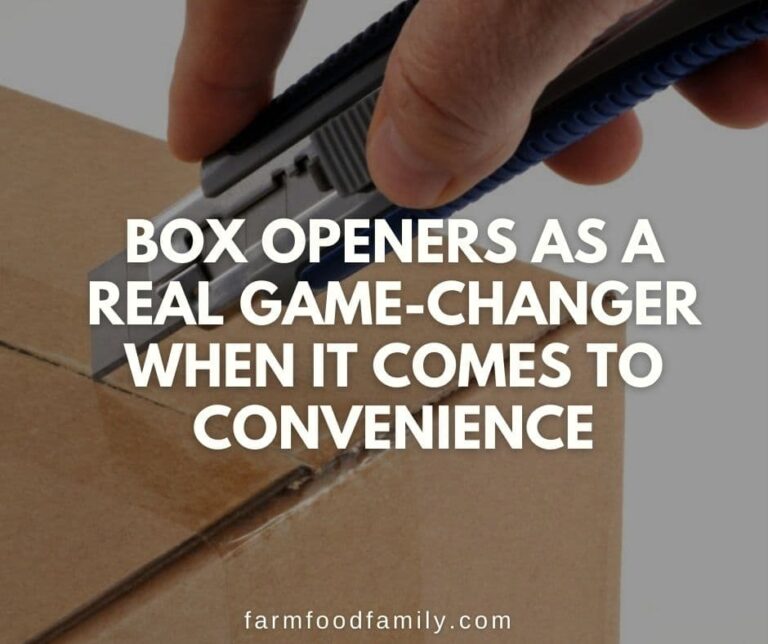 Box Openers As a Real Game-changer When It Comes to Convenience