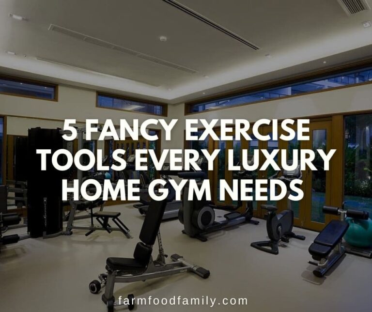 5 Fancy Exercise Tools Every Luxury Home Gym Needs