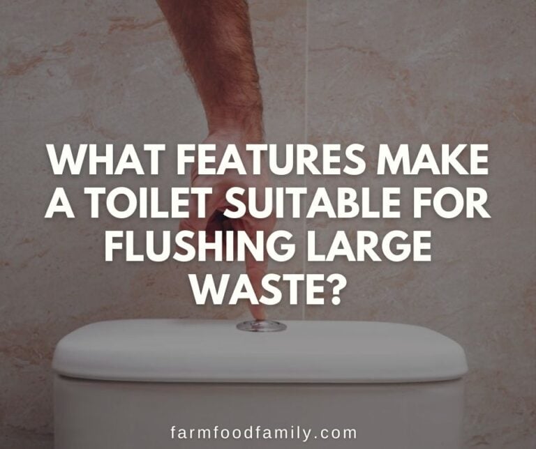 What Features Make A Toilet Suitable For Flushing Large Waste? Expert Opinion