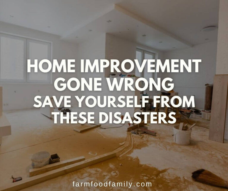 Home Improvement Gone Wrong – Save Yourself From These Disasters