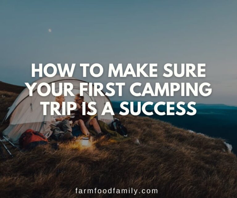 How to Make Sure Your First Camping Trip is a Success