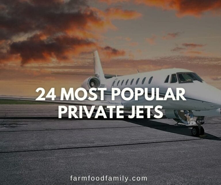 24 Most Popular Private Jets