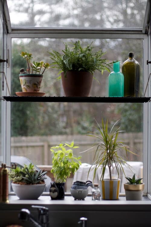 plant shelves for window