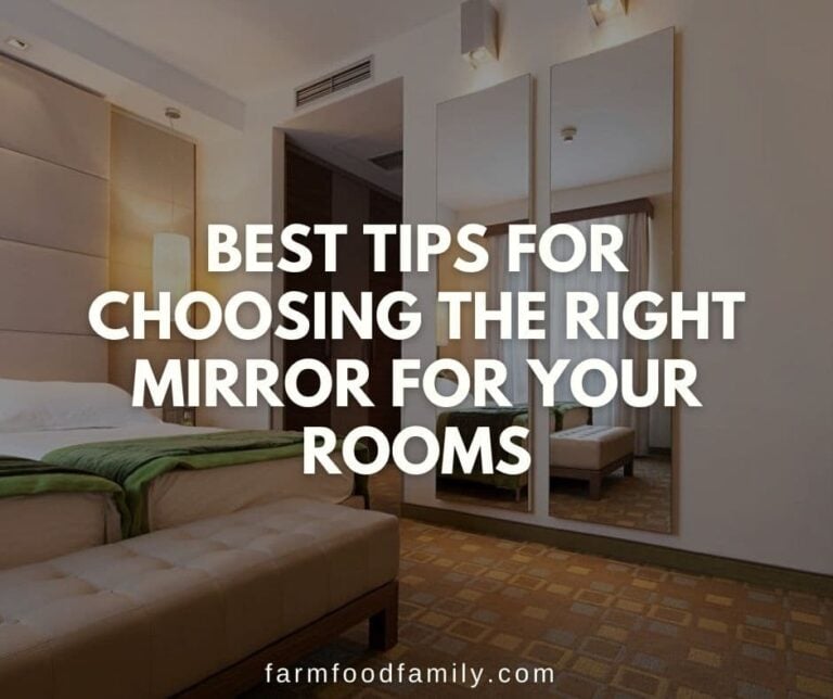 Best Tips for Choosing the Right Mirror for your Rooms