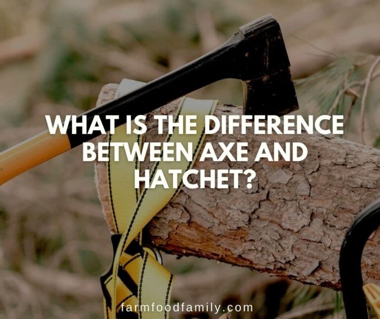 What Is The Difference Between AXE and HATCHET?