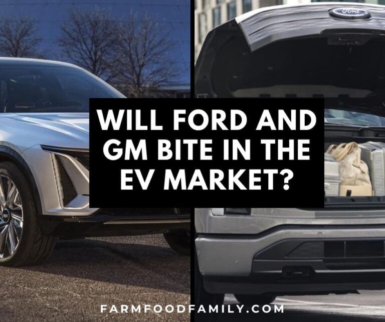 Will Ford and GM Bite in the EV Market?