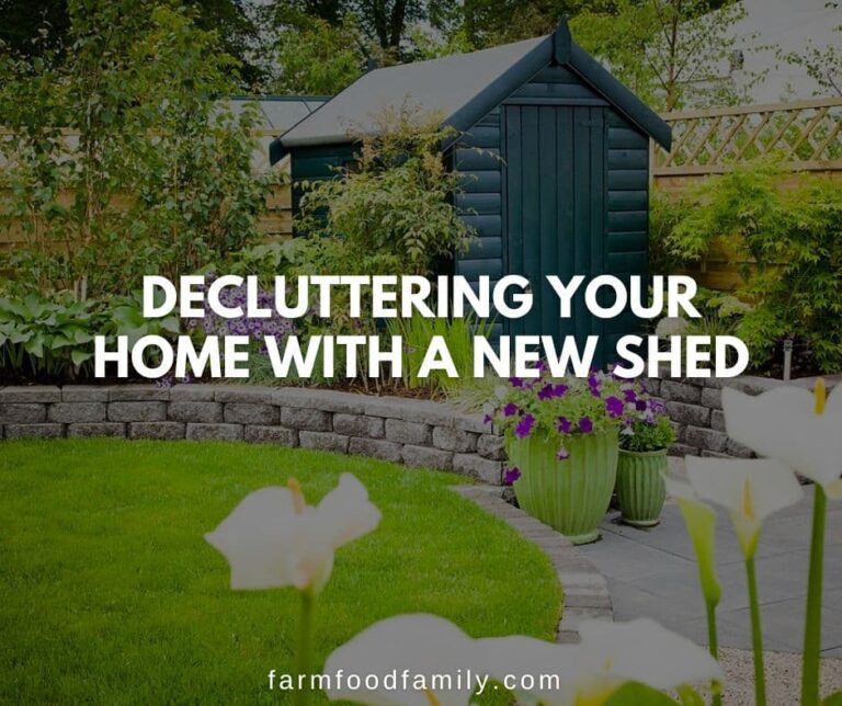 Decluttering Your Home with a New Shed