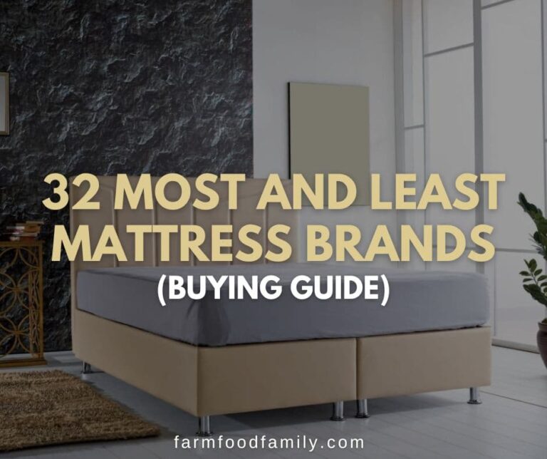 12 Worst Mattress Brands To Avoid (and Most Reliable Brands)