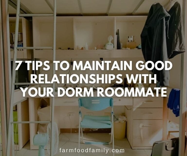 7 Tips to Maintain Good Relationships With Your Dorm Roommate