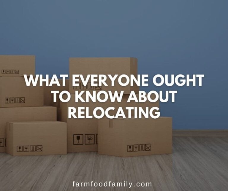 What Everyone Ought to Know About Relocating