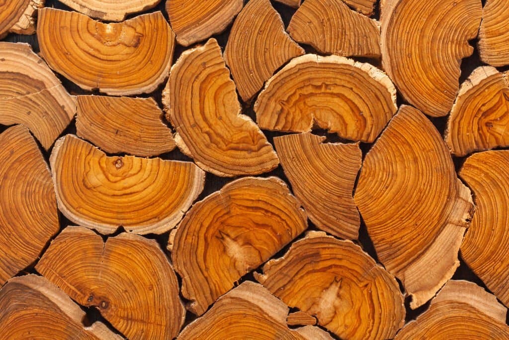 what is teak wood
