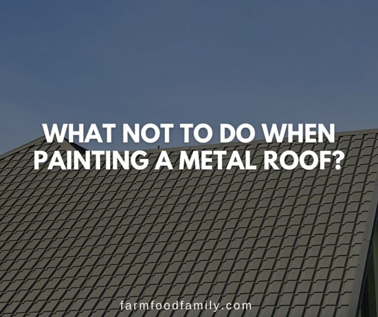 What Not To Do When Painting A Metal Roof?