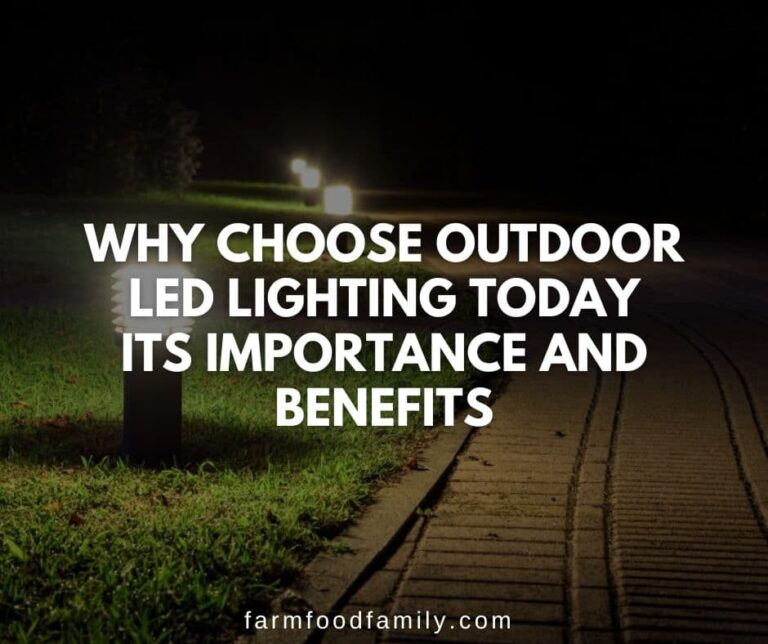 Why Choose Outdoor LED Lighting Today: Its Importance and Benefits