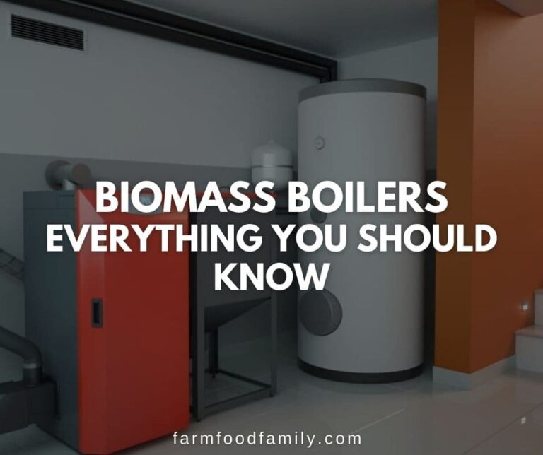 Biomass Boilers – Everything You Should Know