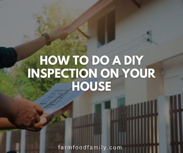 How to do a DIY Inspection on Your House