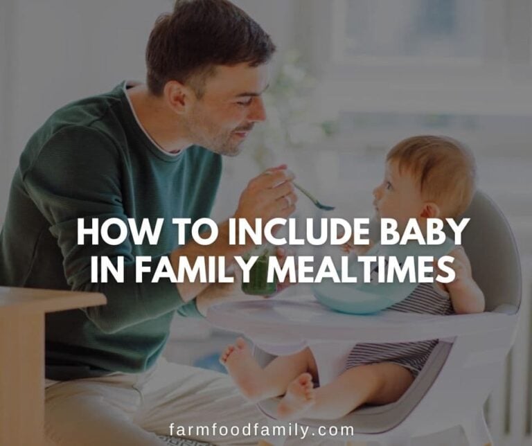 How To Include Baby In Family Mealtimes