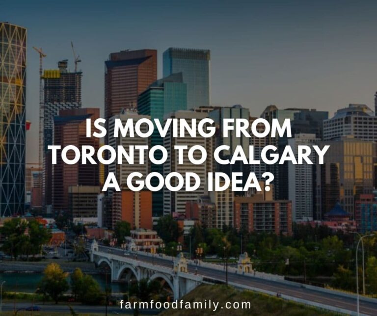 Is Moving From Toronto To Calgary a Good Idea?