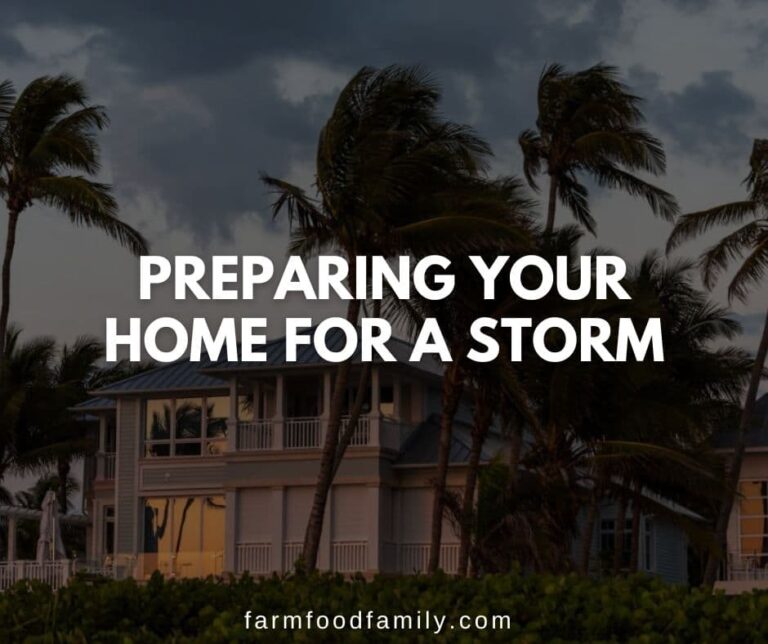 Preparing Your Home For a Storm