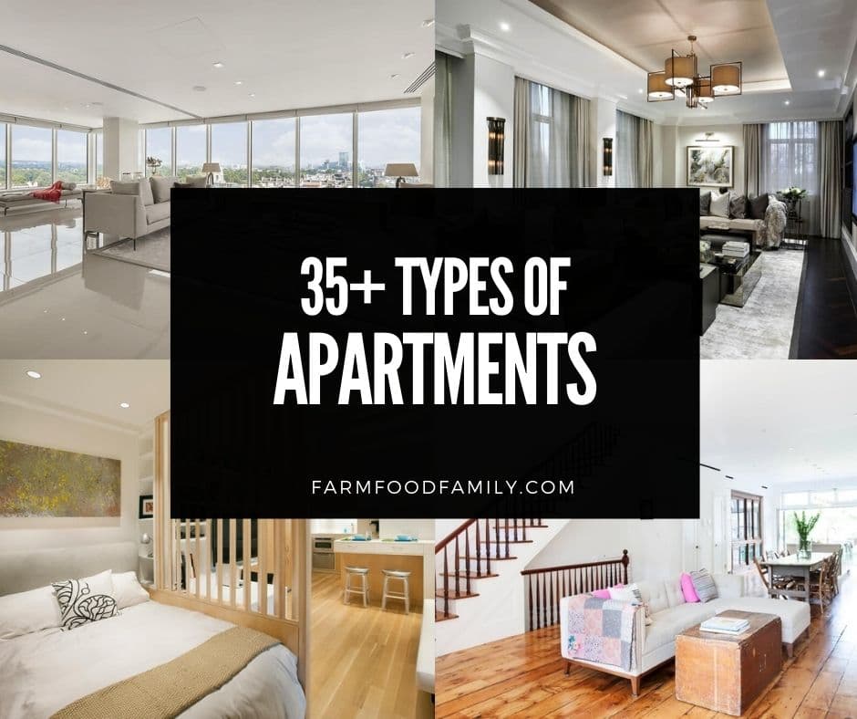 Apartments For Rent In San Francisco
