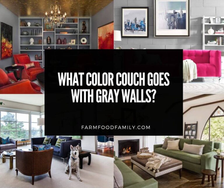 What Color Couch Goes With Gray Walls? (25 Ideas)