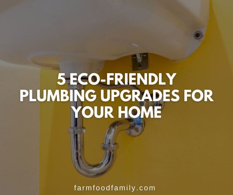 5 Eco-Friendly Plumbing Upgrades for Your Home