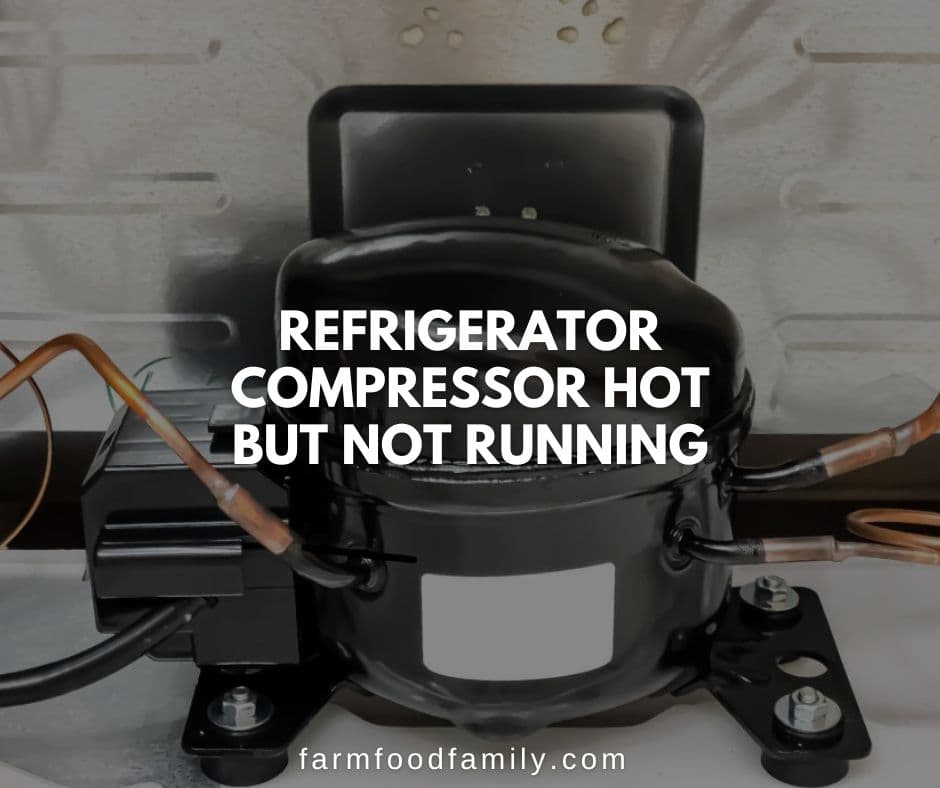 fridge compressor hot but not running