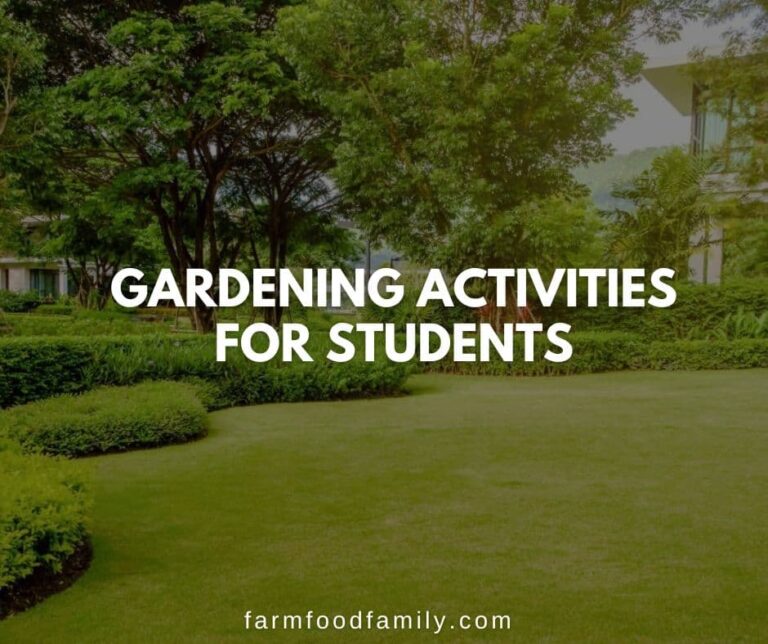 Gardening Activities for Students