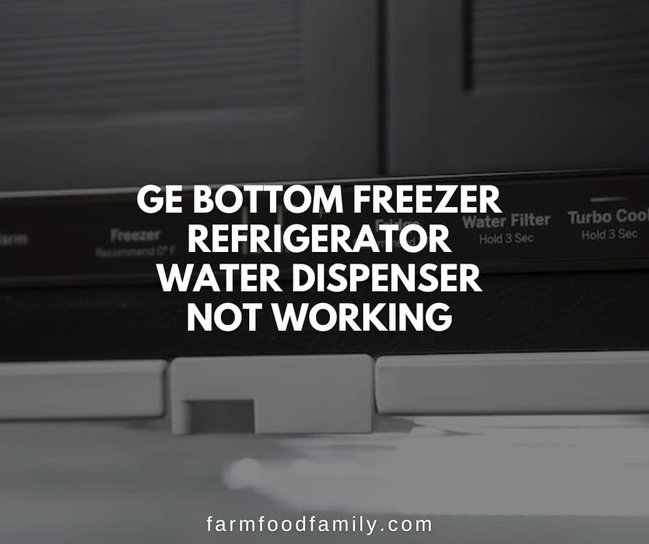 ge bottom freezer refrigerator water dispenser not working