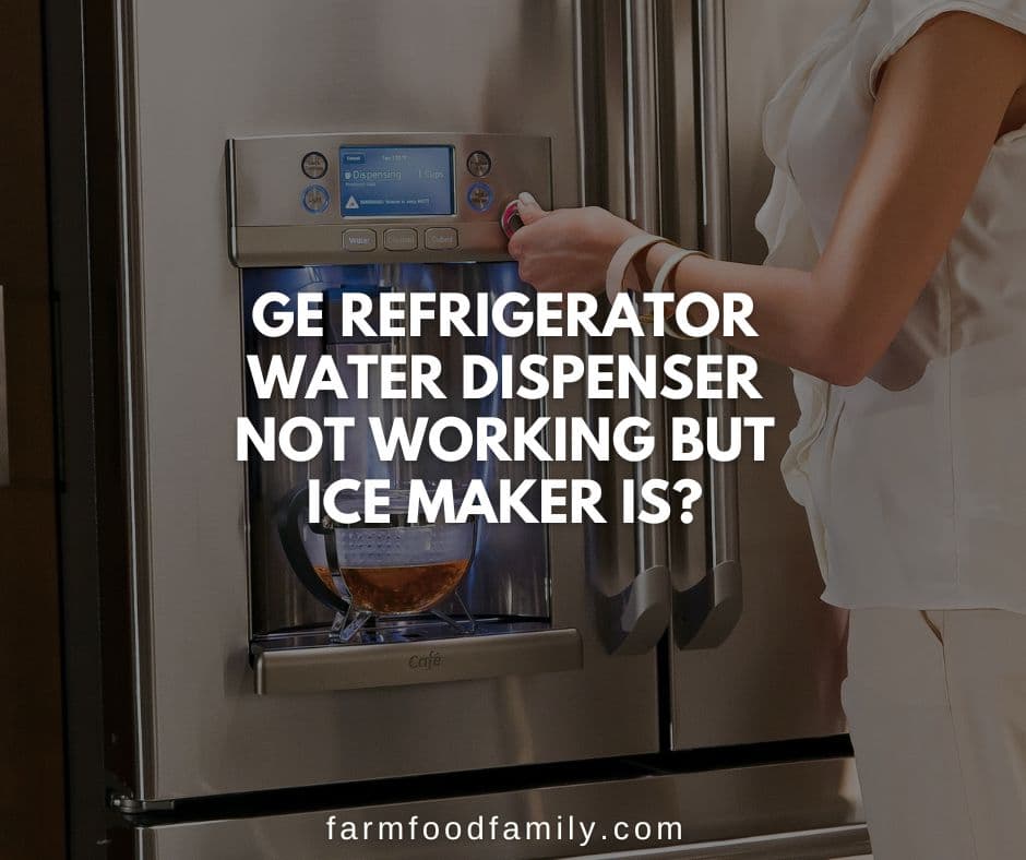 ge refrigerator water dispenser not working but ice maker is