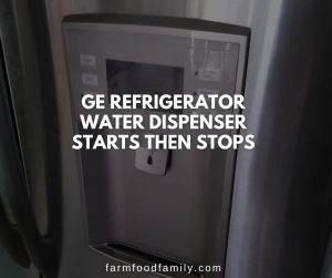 GE Refrigerator Water Dispenser Not Working? {How to Fix}