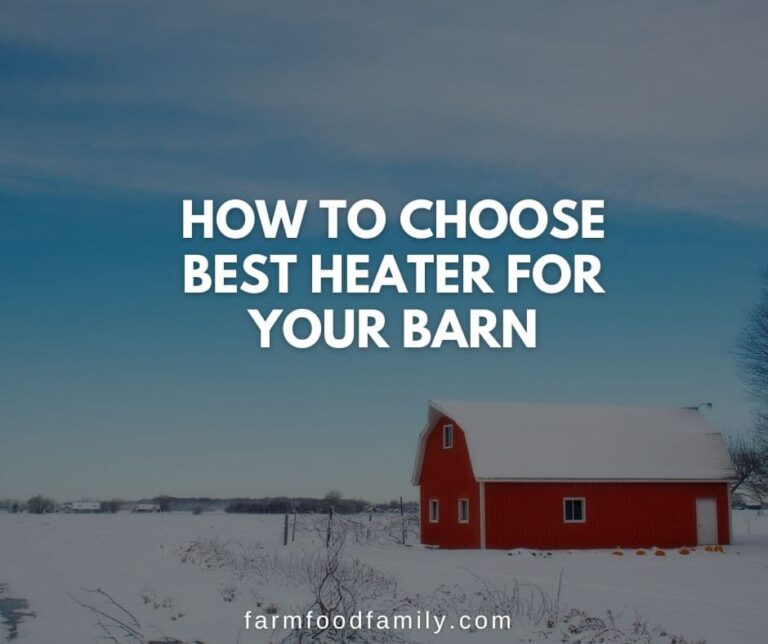 How To Choose Best Heater For Your Barn