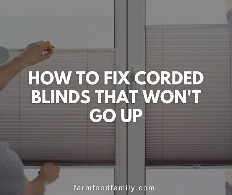 How To Fix Corded Blinds That Won’t Go Up