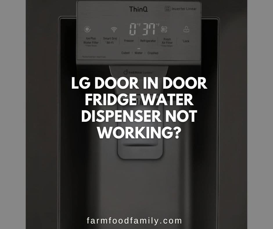 lg door in door refrigerator water dispenser not working