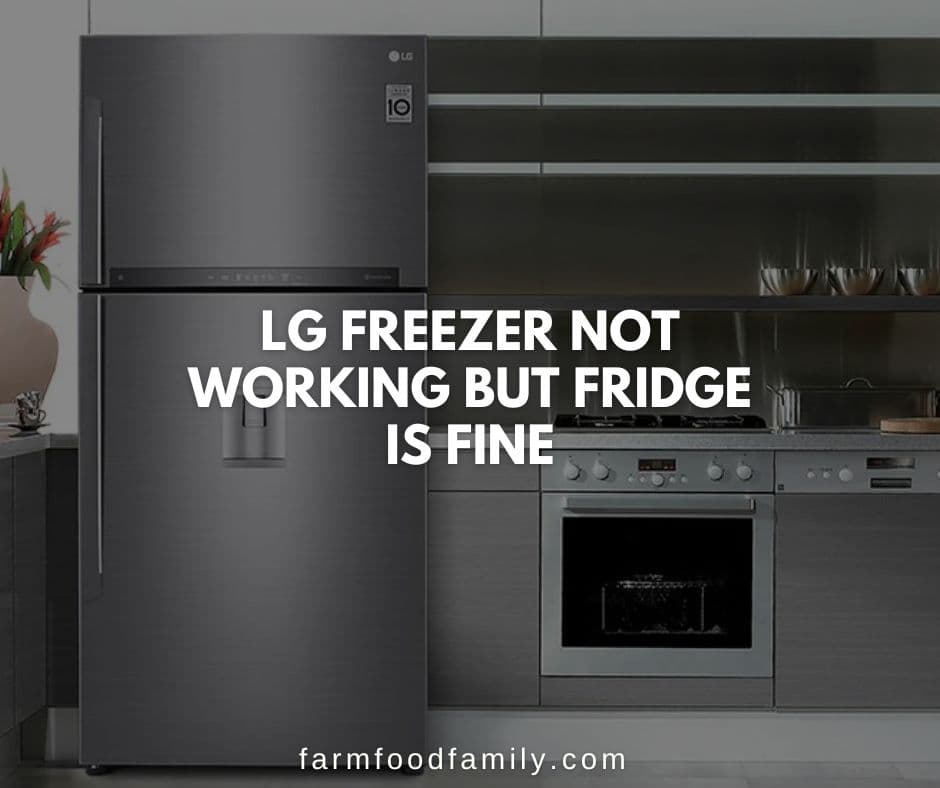 lg freezer not working but fridge is fine