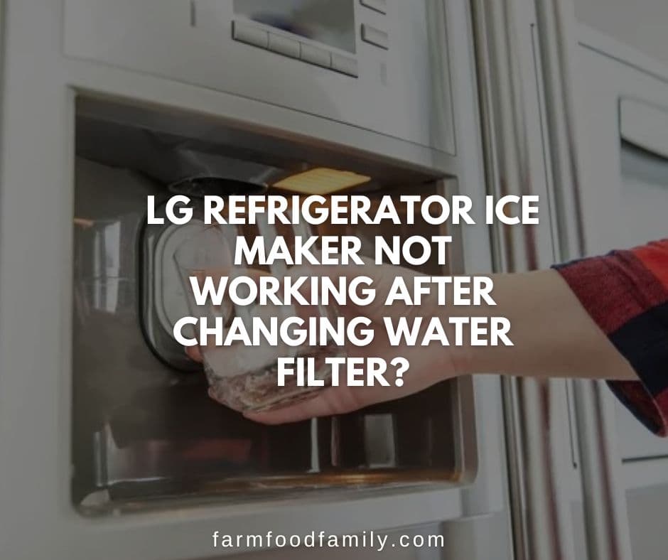 lg refrigerator ice maker not working after changing water filter