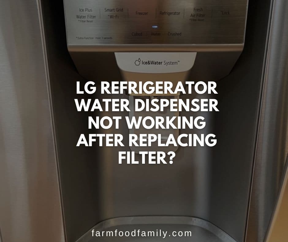 lg refrigerator water dispenser not working after changing filter