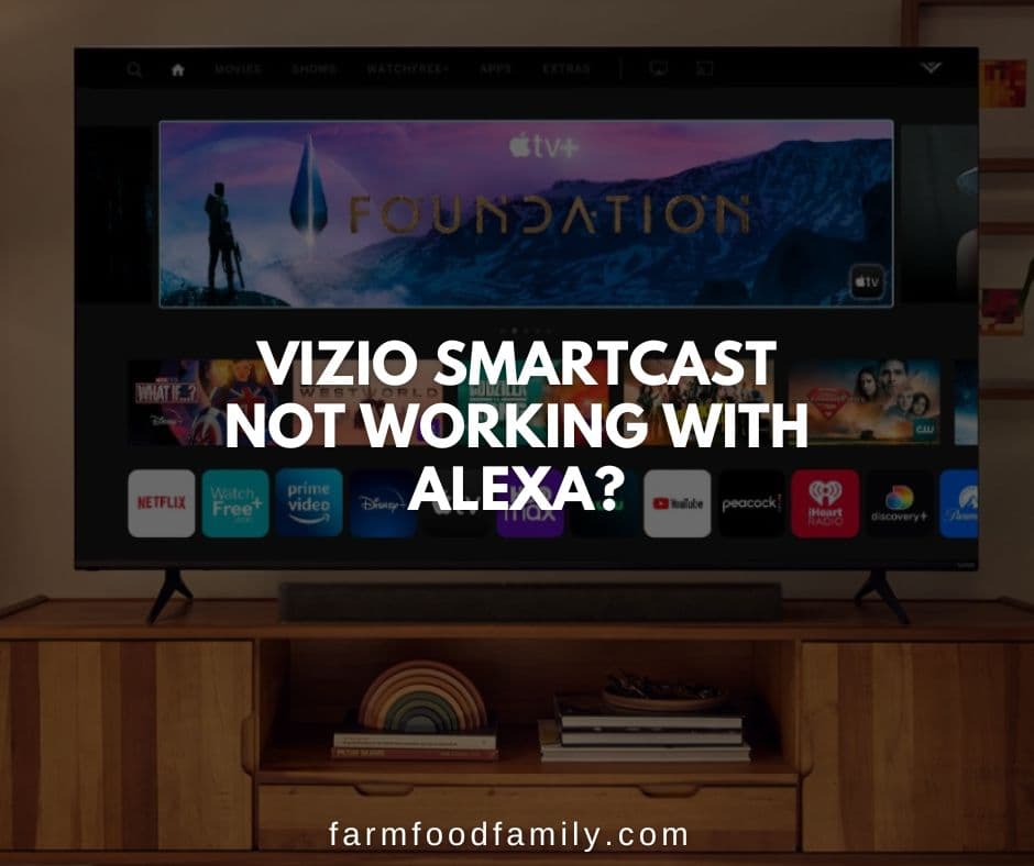 vizio smartcast not working with