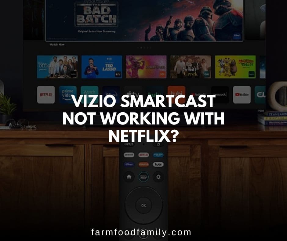 vizio smartcast not working with